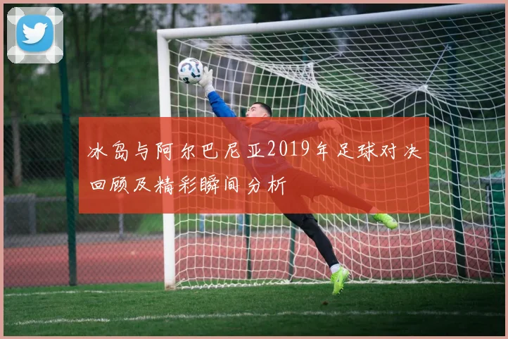 冰岛与阿尔巴尼亚2019年足球对决回顾及精彩瞬间分析