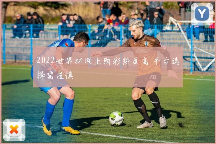 2022世界杯网上购彩热度高 平台选择需谨慎